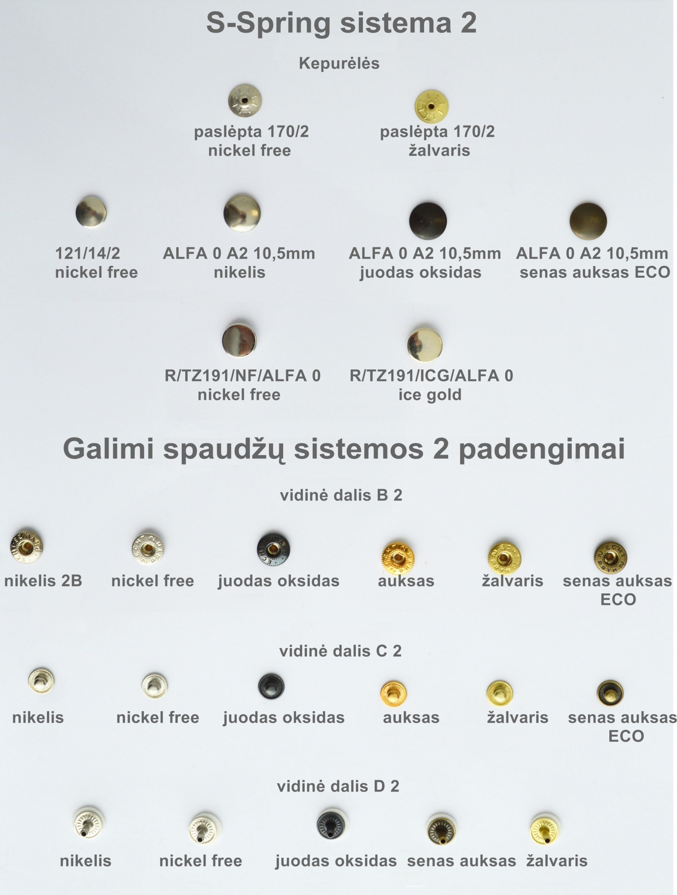 S-Spring sistema 2